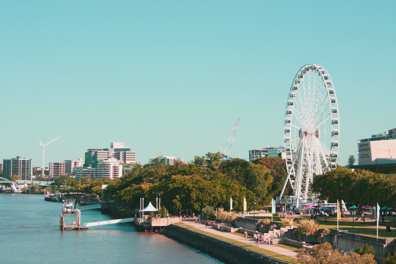 How To Have a Great Family Holiday in Brisbane 5